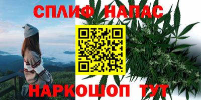 дмт Бузулук