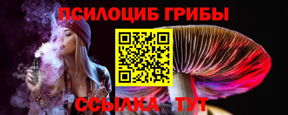 Галлюциногенные грибы Cubensis Дивногорск